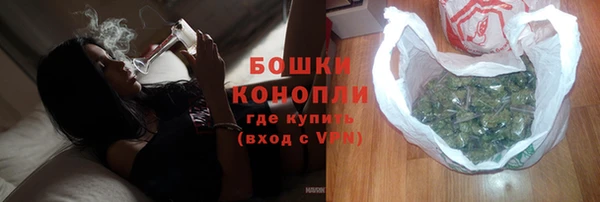 мдпв Михайлов