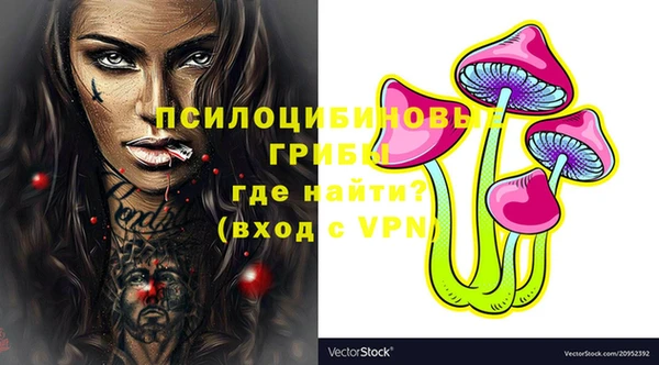 трава Медногорск