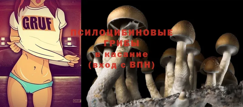 купить наркотик  Иннополис  Галлюциногенные грибы Cubensis 